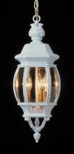  4066 RT - Parsons 3-Light Traditional French-inspired Outdoor Hanging Lantern Pendant with Chain